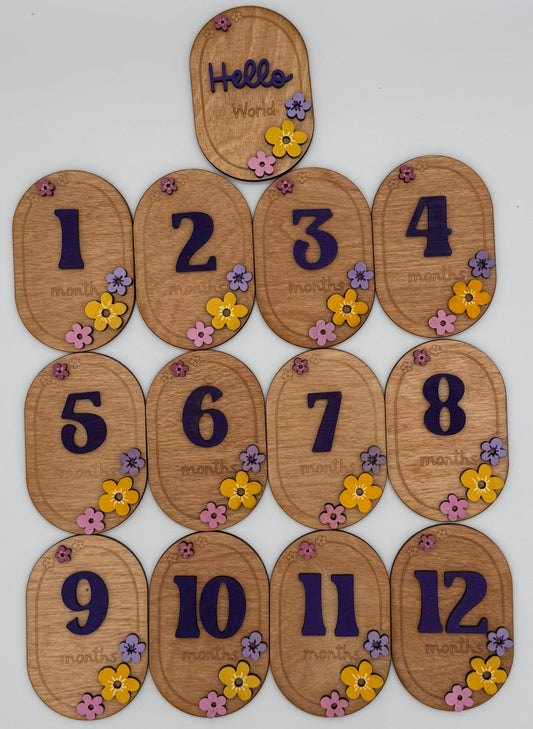 Baby 0-12 Month Milestones Girl