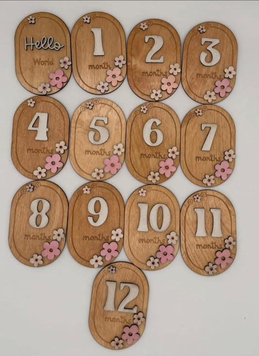 Baby 0-12 Month Milestones Girl Pink